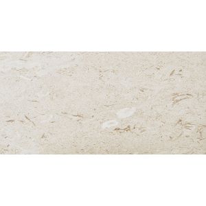 Fossil Limestone 12x24 Floor Tile - Brushed