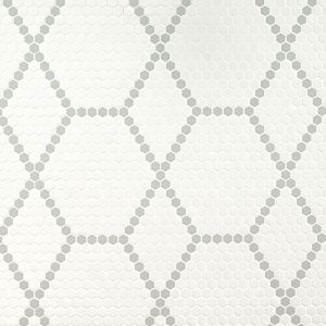 FREE SHIPPING - White and Gray Hive Pattern Matte Porcelain Floor and Wall Tile